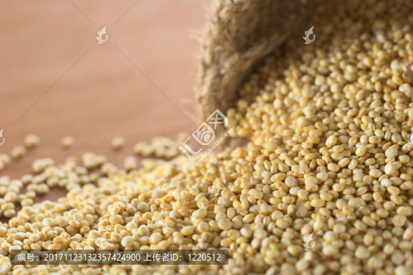 食物