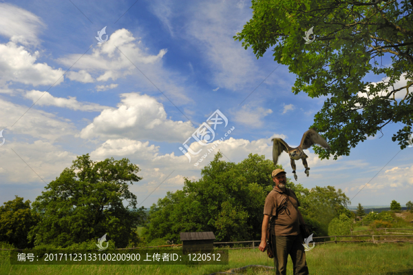 獵鷹與飛行鷹，獵鷹樹脂