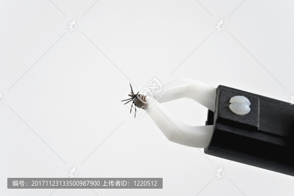 鉤號