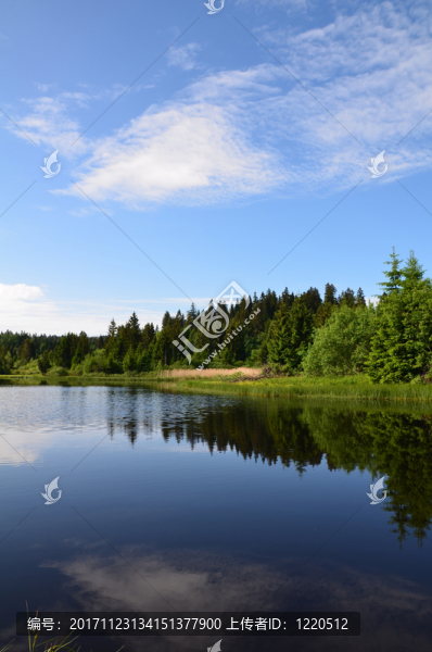 etang,des,royes