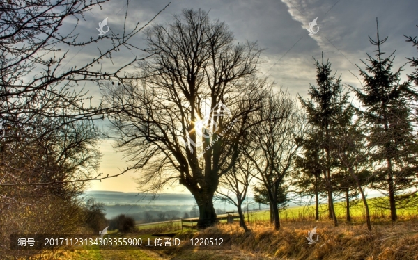 wanderweg1