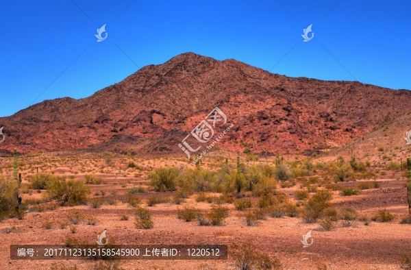 沙漠