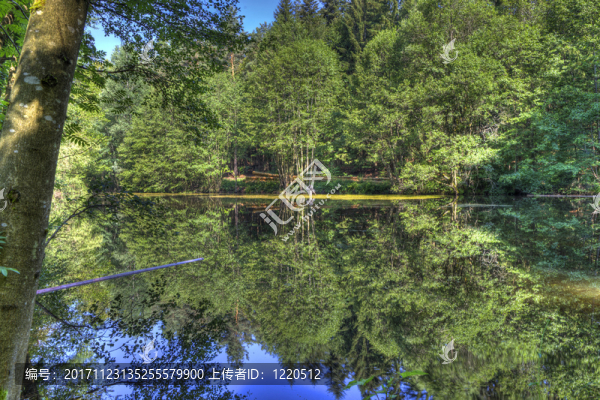 Waldsee的