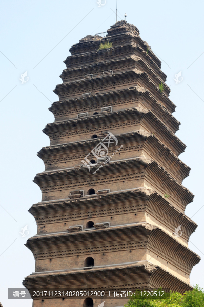 塔