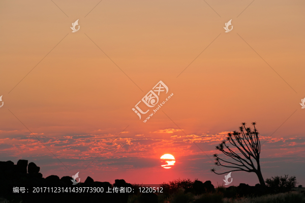 沙漠