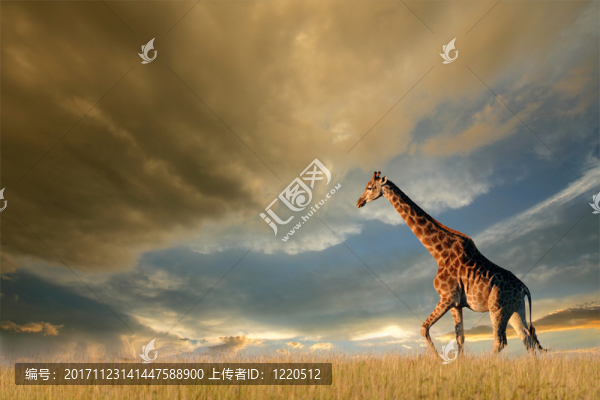日落