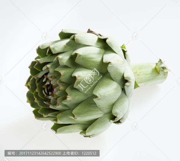 食物