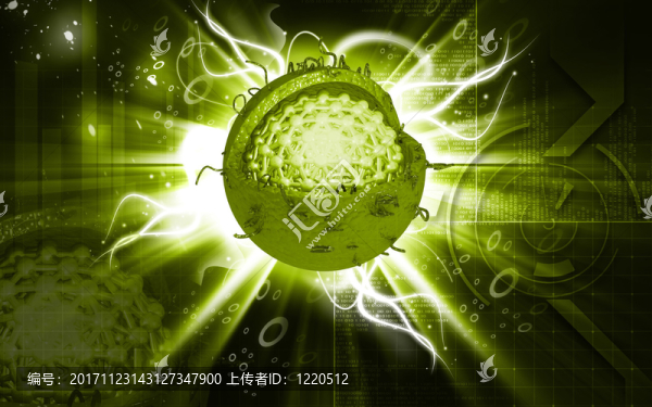 教育