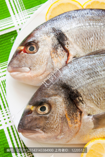 食物