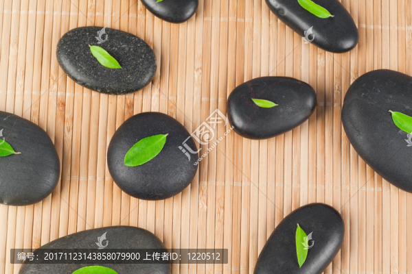 美麗的