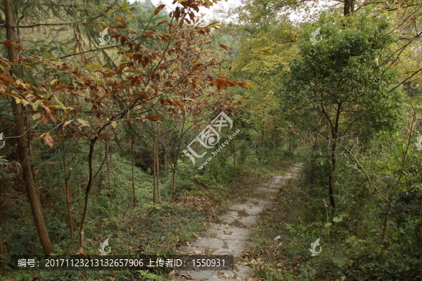石板路