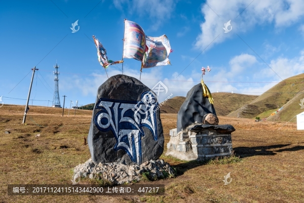 塔公草原