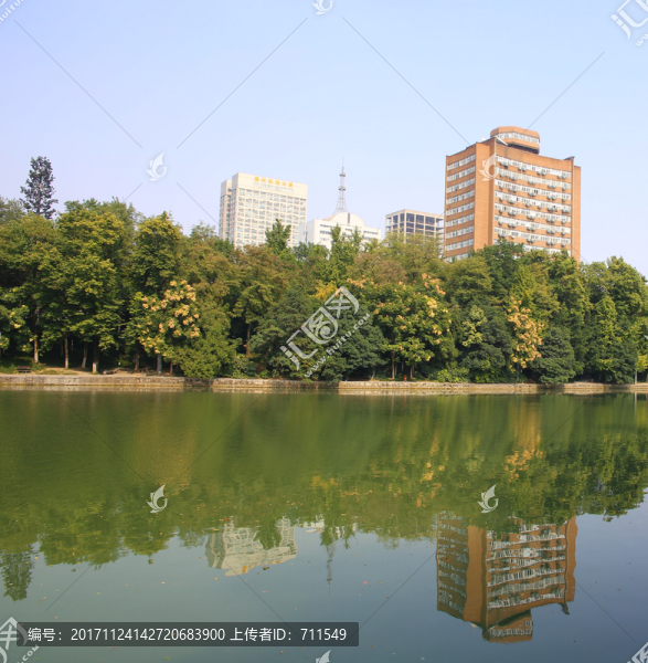 合肥稻香樓護(hù)城河