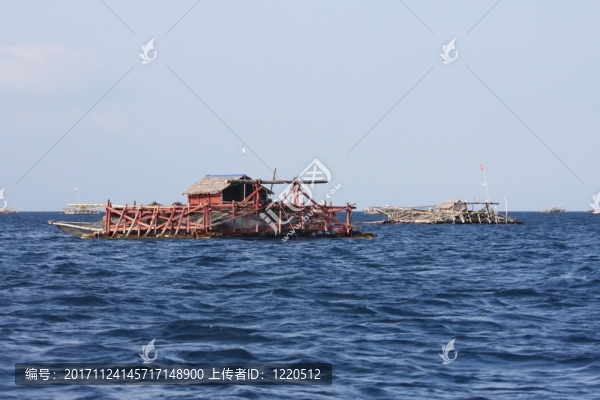 在sulawesi網(wǎng)捕魚