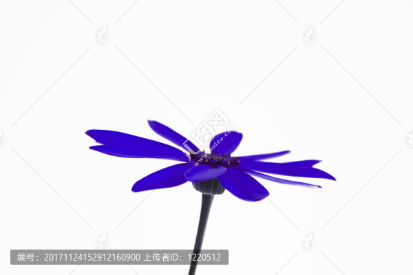 隔離的