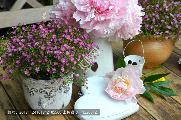 花園