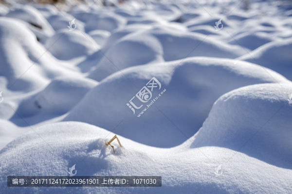 雪丘