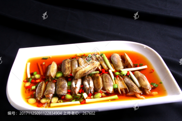 帶子