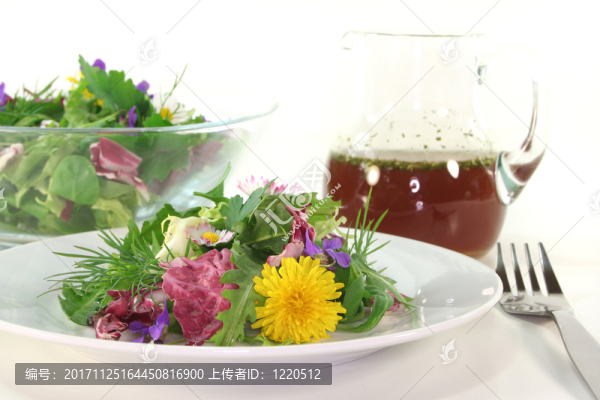 蒲公英