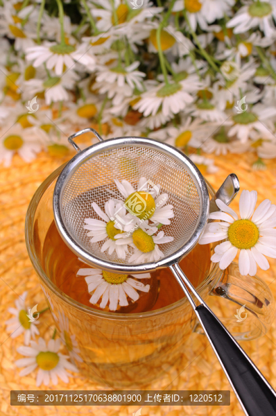 甘菊茶