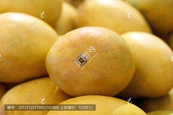 物體