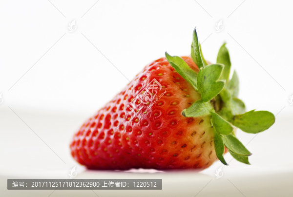 食物