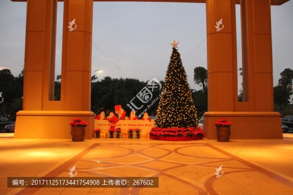 圣誕樹(shù)