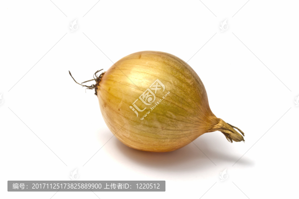 緊密的