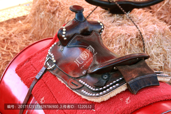 運動