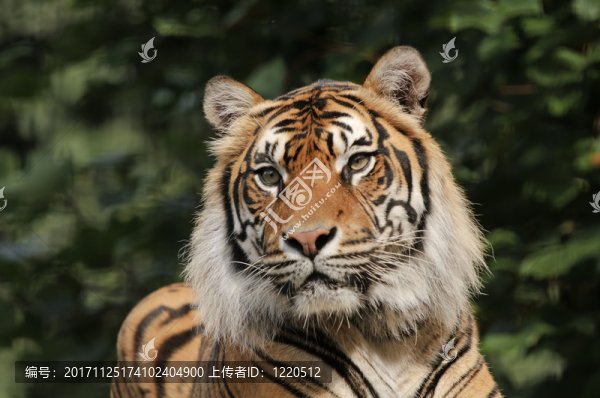危險(xiǎn)