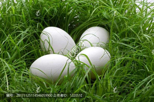 氣味清新地
