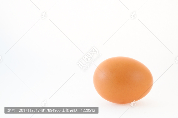 食物