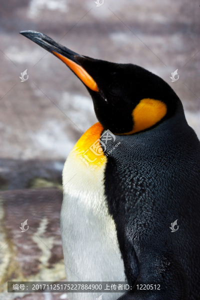 生活