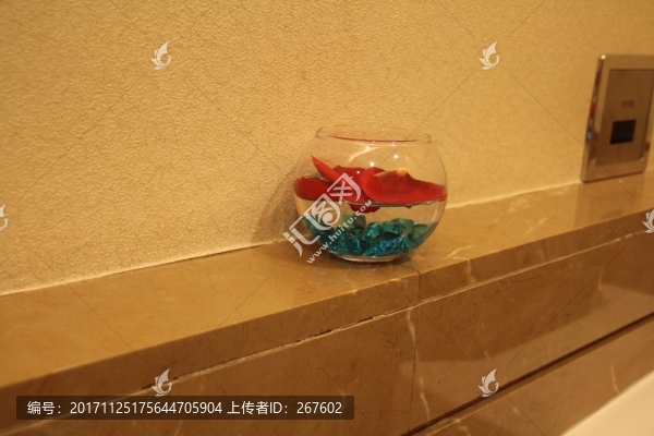金魚