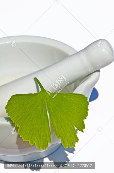 樹