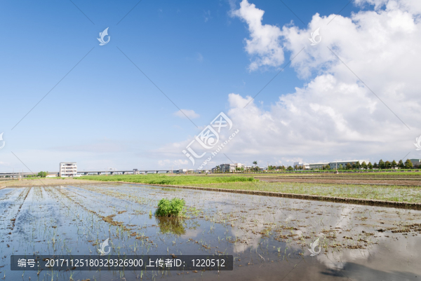 農業(yè)
