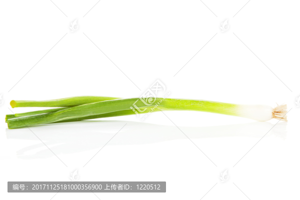 食物