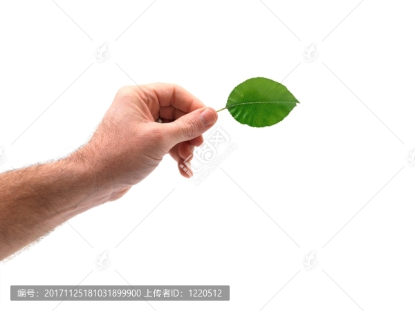挑選