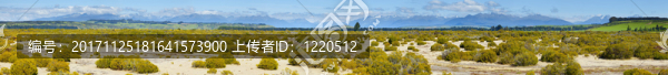 山