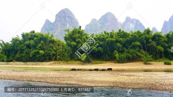 陽(yáng)朔漓江風(fēng)光