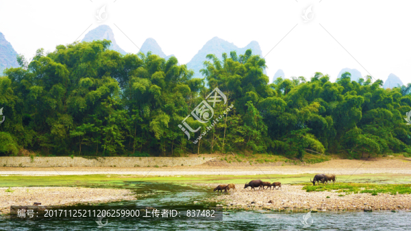 陽(yáng)朔漓江風(fēng)光