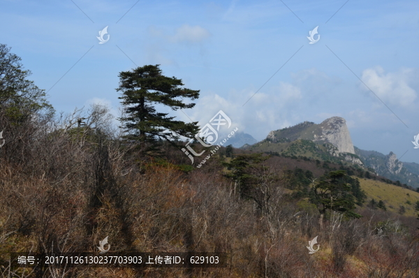 鷹嘴崖