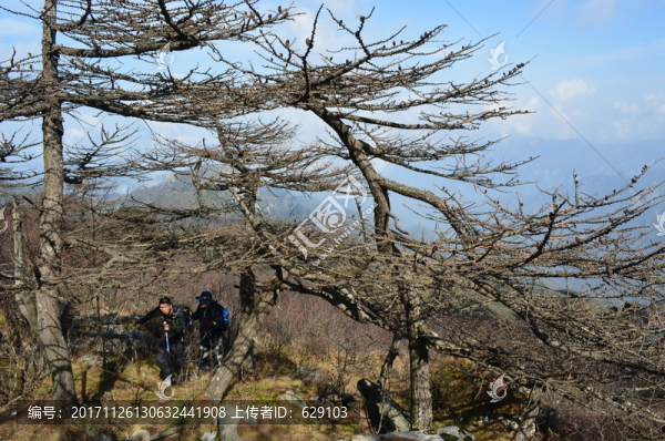 戶外登山者