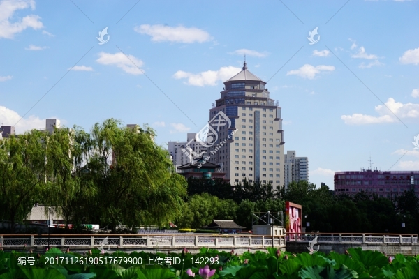 蓮花池