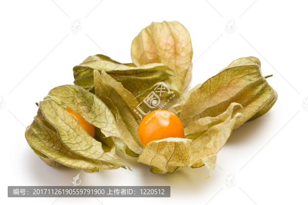 食物