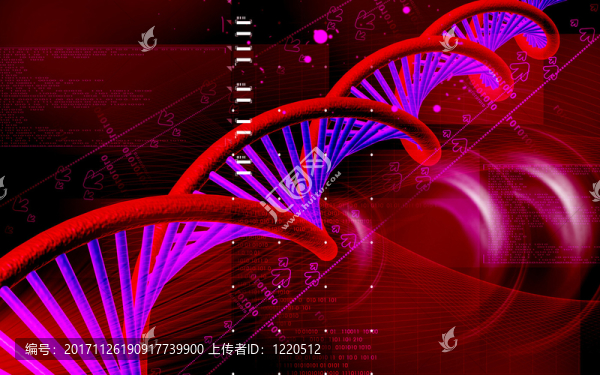 教育