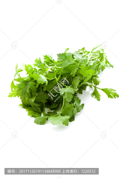 食物