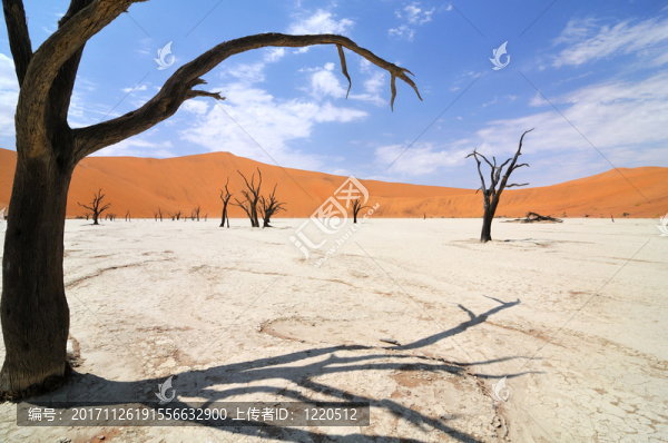 鹽鍋，sossusvlei