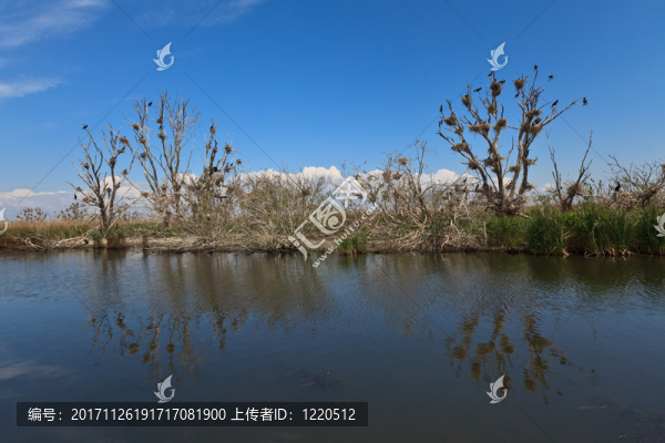 藍(lán)色