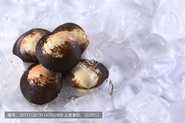 食物